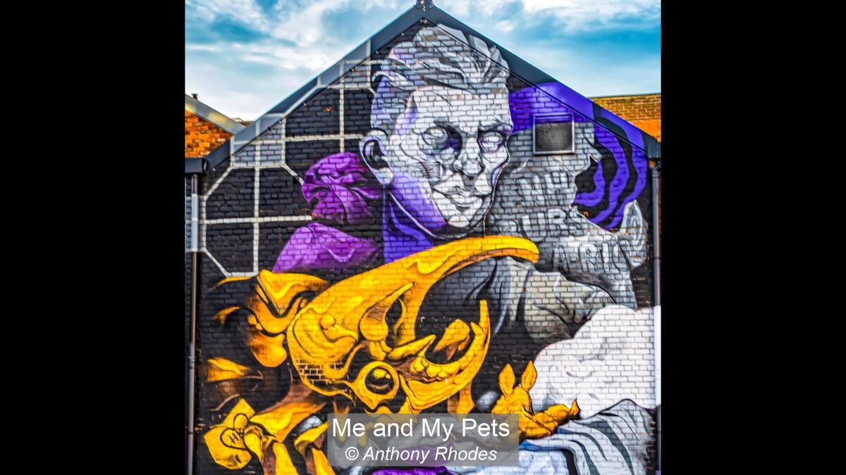 Me and My Pets